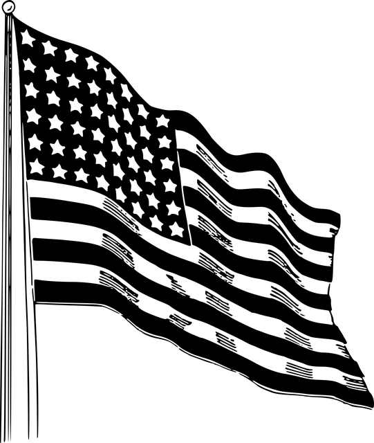 american-eagle-american-flag-640x480-20095145.png