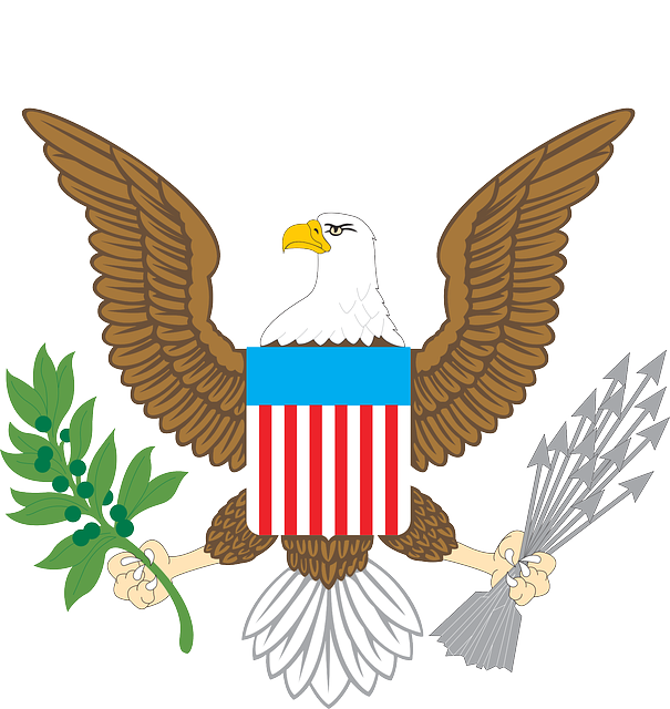 american eagle american flag