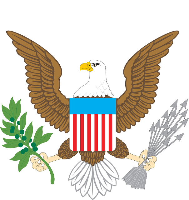 american eagle and flag