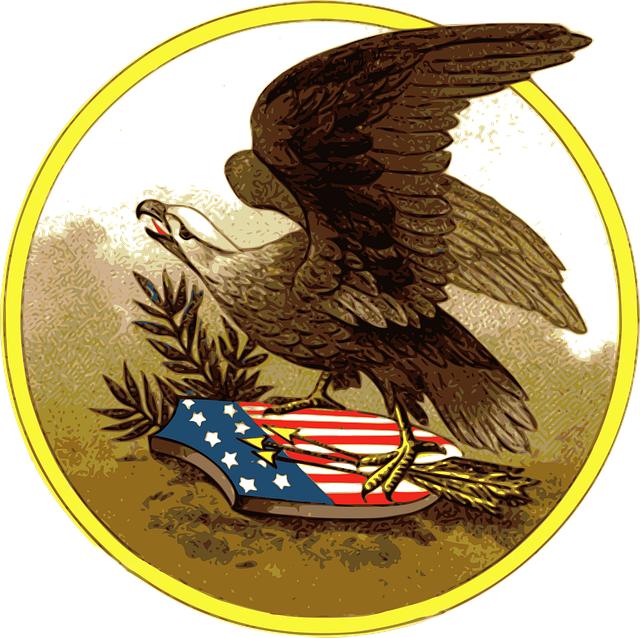 american eagle and flag