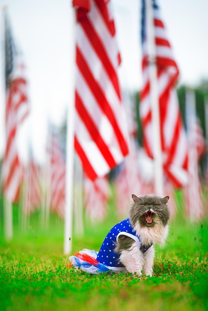 american flag 2 5 x 4