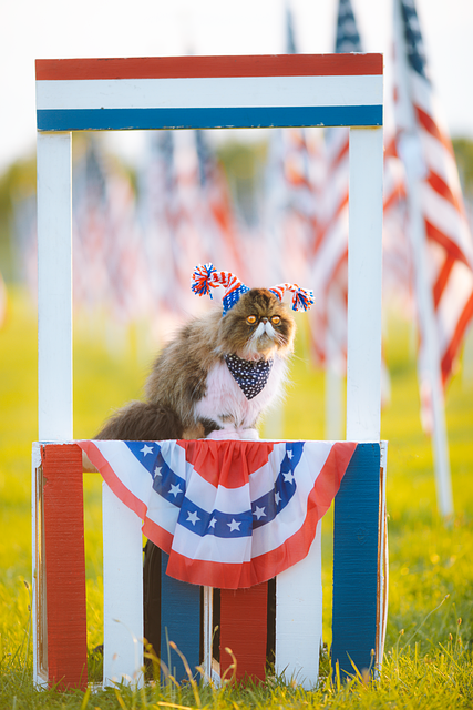 american-flag-2-5-x-4-640x480-53065377.png