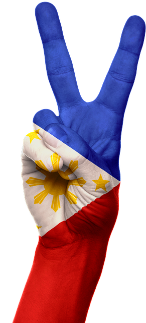 american flag peace sign