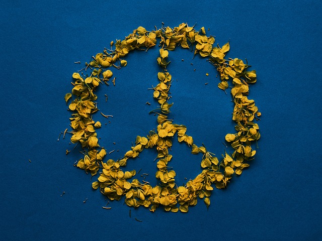 american flag peace sign