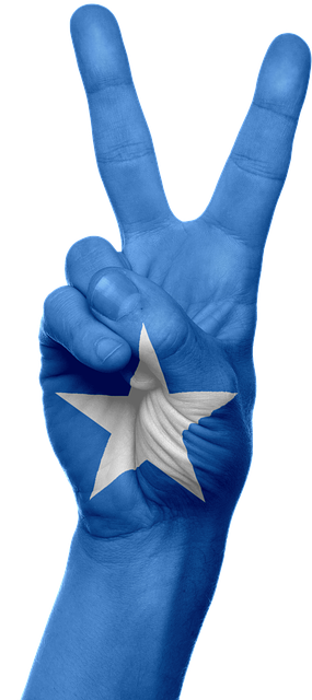 american flag peace sign