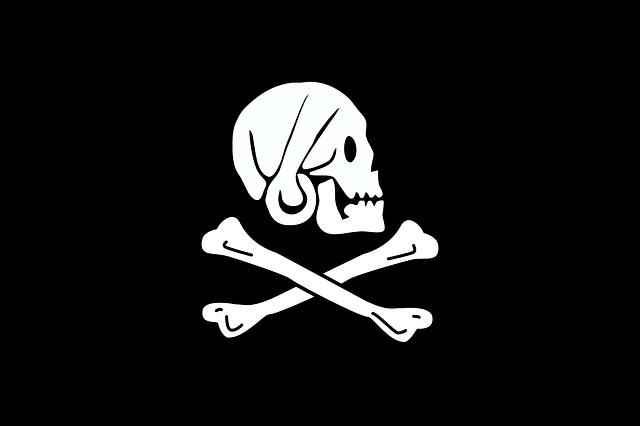 american flag skull