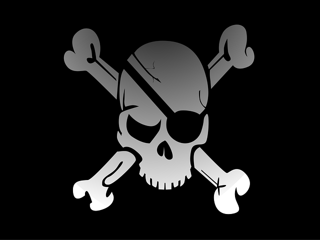 american flag skull