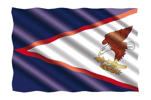 american flag skull