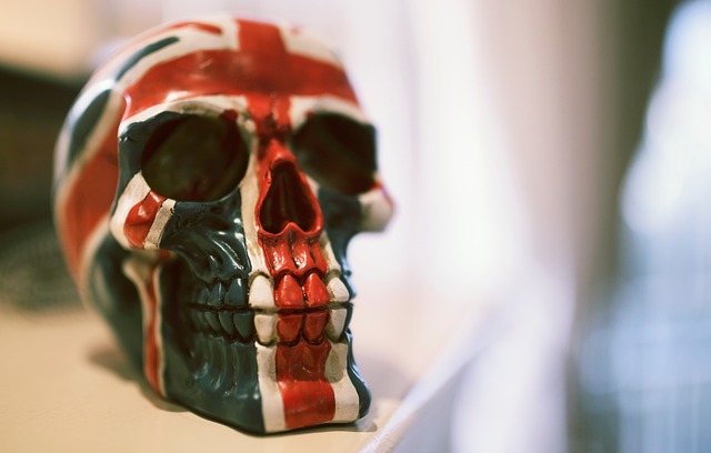 american flag skull