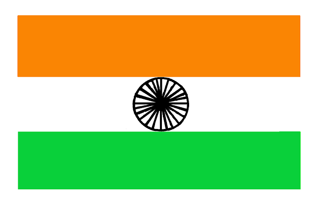 american indian flag