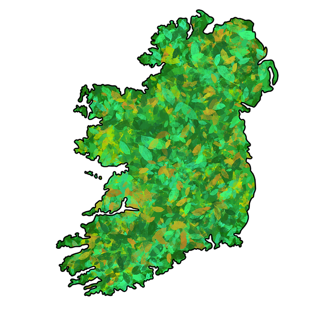 irish-640x480-20136385.png