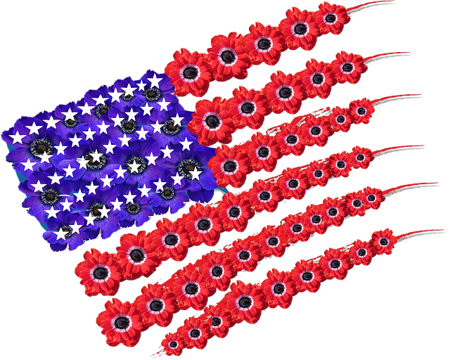 italian american flag