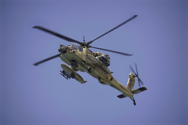 US Army