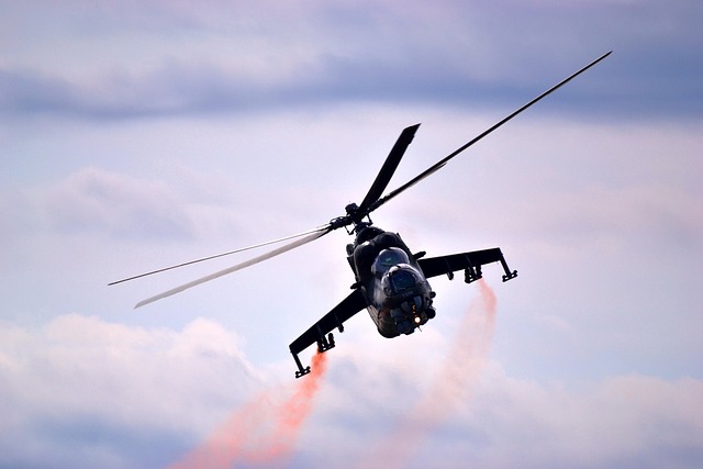US Army