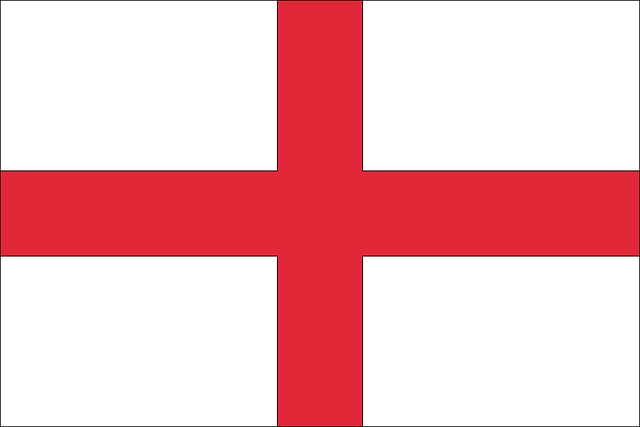 us army flag