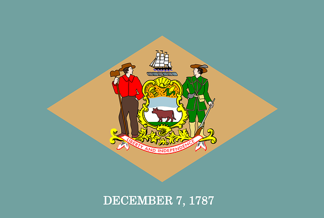 us army flag