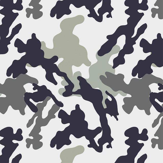 us army flag