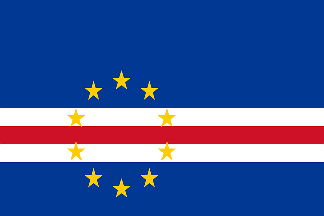 us army national guard flag