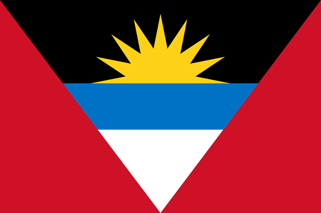 us army national guard flag