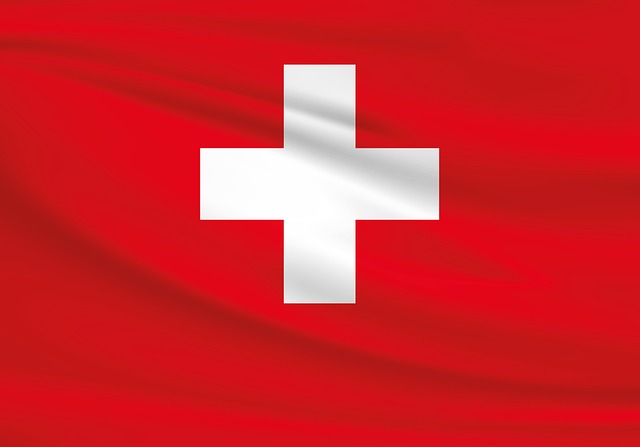us army national guard flag
