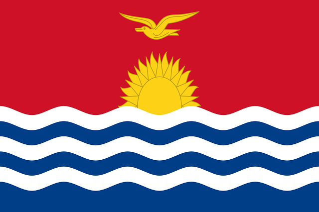 us army national guard flag