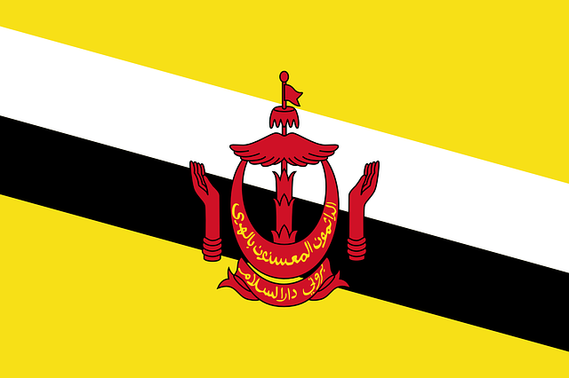 us army national guard flag