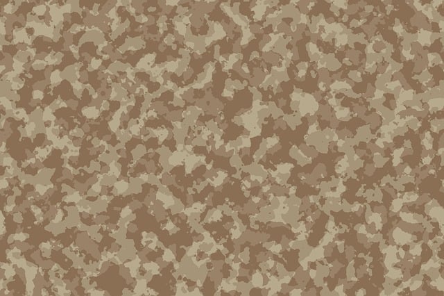 us army special forces