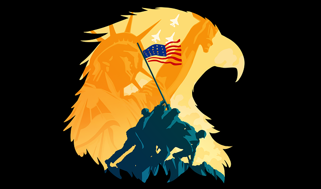 usa flag