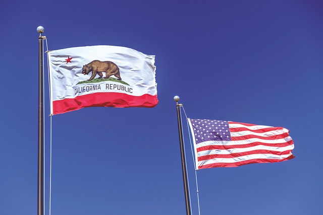 usa flag
