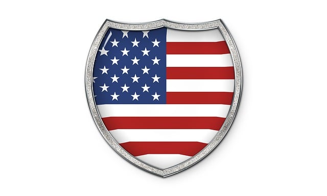 we the people american flag
