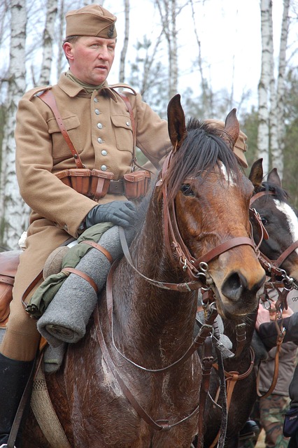 1st-cavalry-division-flag-640x480-59340678.jpeg