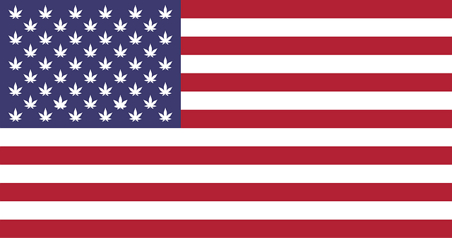 5-x-8-american-flag-640x480-32209277.png