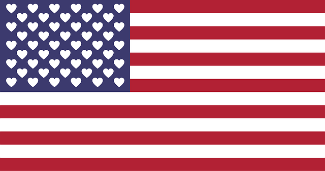 5 x 8 american flag