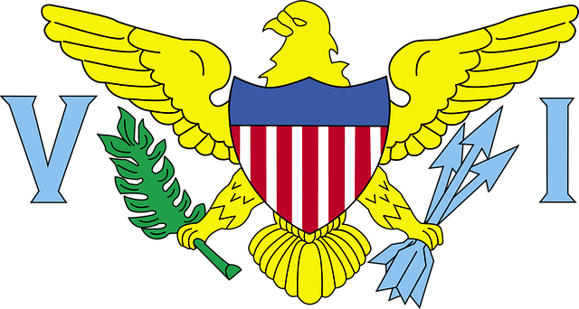 american eagle and flag