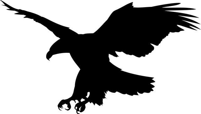 american-eagle-and-flag-640x480-80596434.png