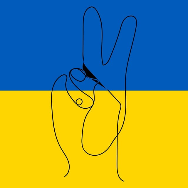 american flag peace sign