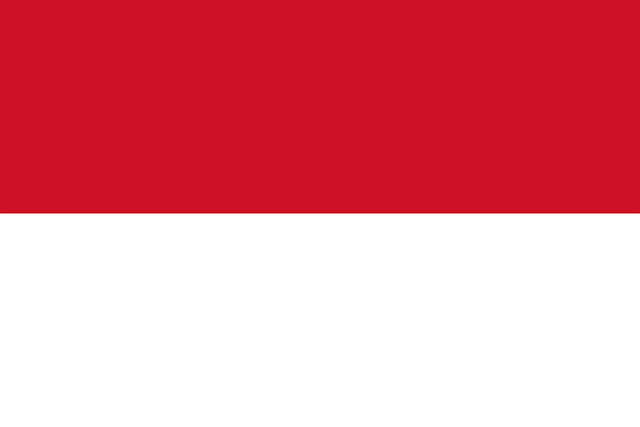 american flag peace sign