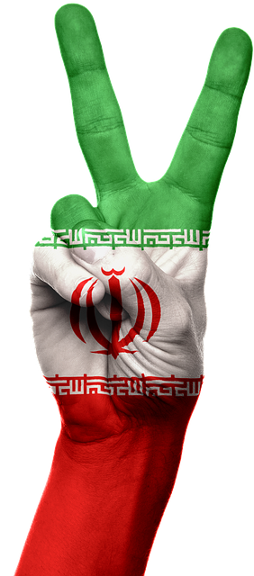 american flag peace sign