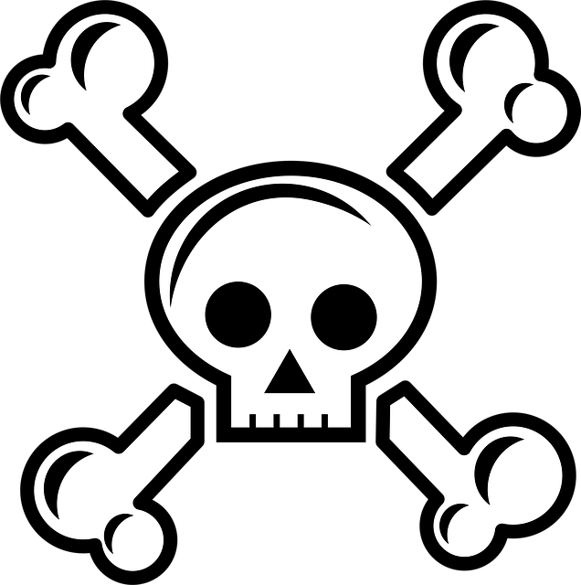 american flag skull