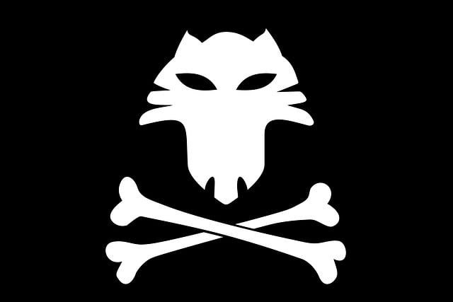 american flag skull