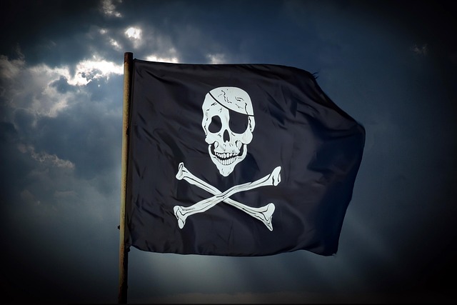 american flag skull