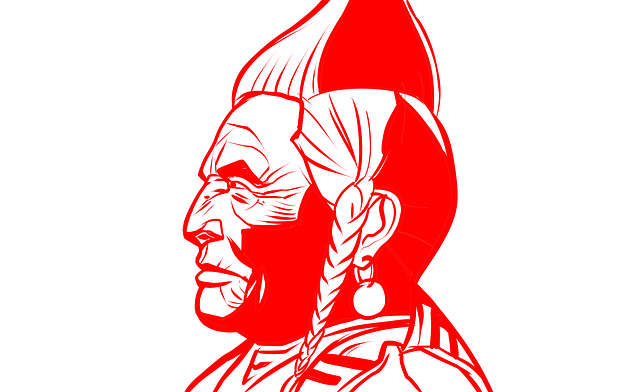 american indian flag