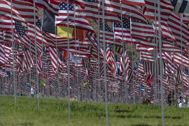 distress american flag