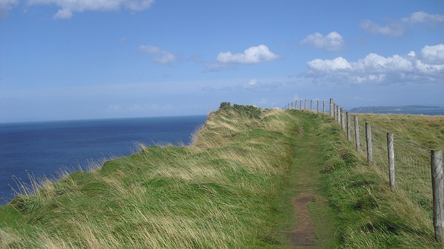 irish-640x480-33317454.jpeg