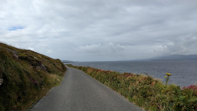 irish