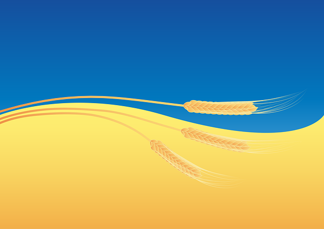 patriotic-640x480-40724394.png