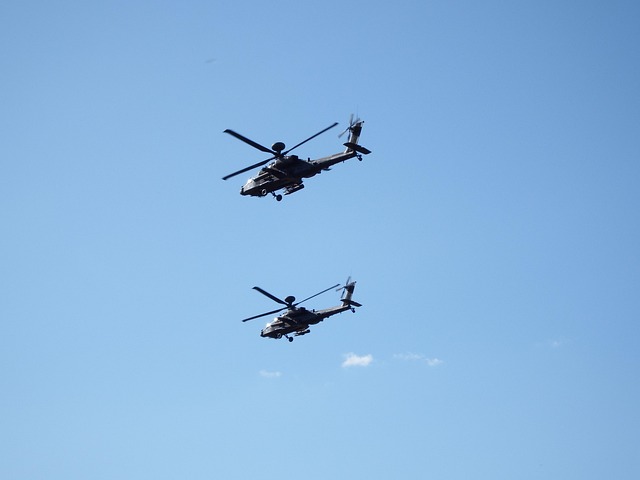 US Army