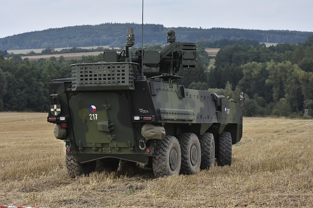 US Army