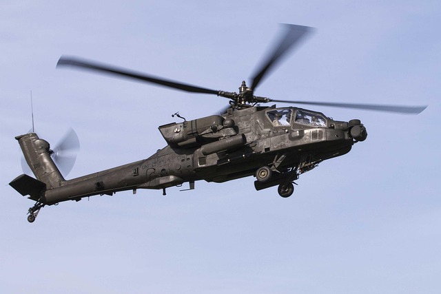 US Army