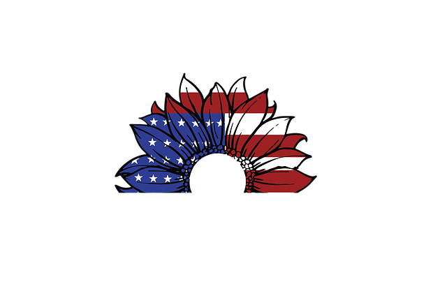 us army flag